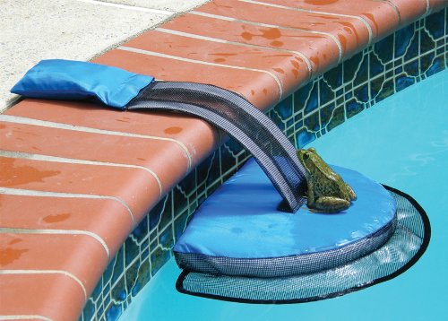 frog-pool-escape-ramp[1]
