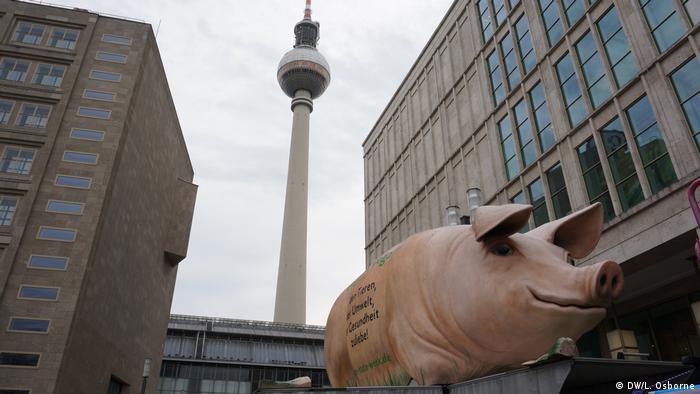 Iconic television tower in Berlin's Alexanderplatz, with pig in foreground (DW/L. Osborne)