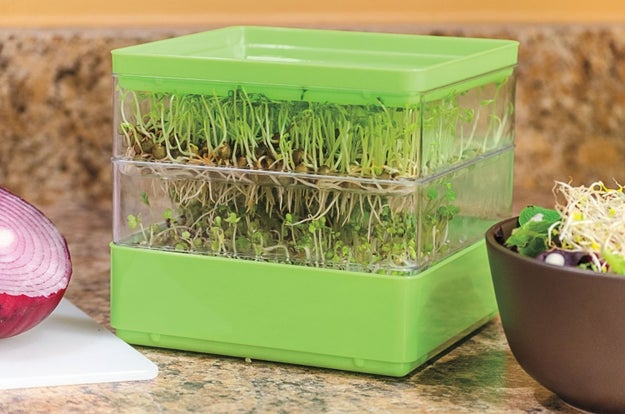 A two-tiered seed sprouter for those looking to add a boost of nutrition to any meal.