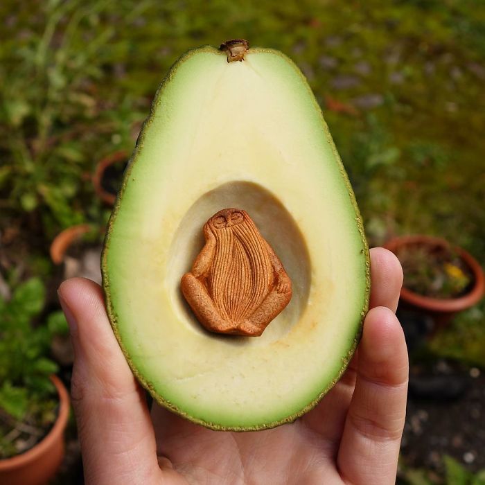 Avocado Stone Face